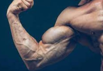 Lees meer over het artikel Sneller spieren kweken? Lees deze praktische tips